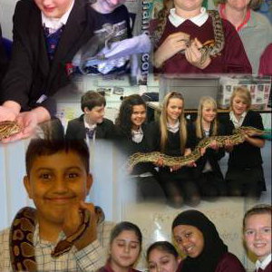 School Visits