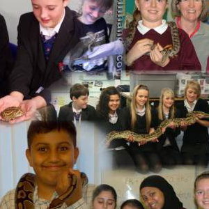 School Visits
