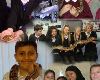 School Visits
