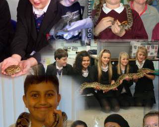 School Visits