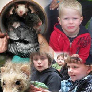 Animal Parties