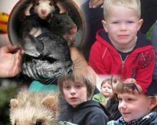Animal Parties