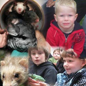 Animal Parties