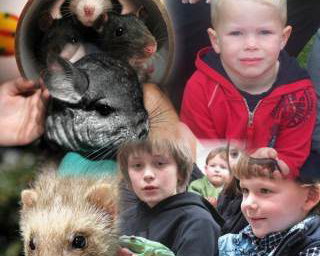 Animal Parties