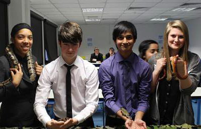toad-spider-snakes-being-handled-by-6-form