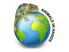 Animals In Hands logo