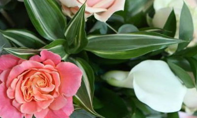 The Flowerstalk