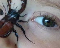 Stag Beetle