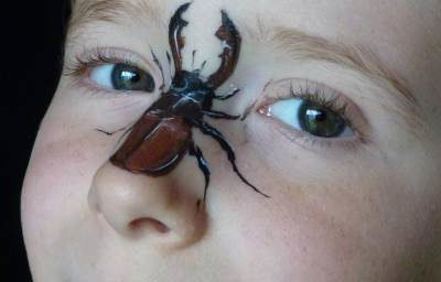 Stag Beetle