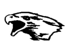 Nighthawk Mobile Disco And Karaoke logo