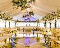 Gold Dance Floor