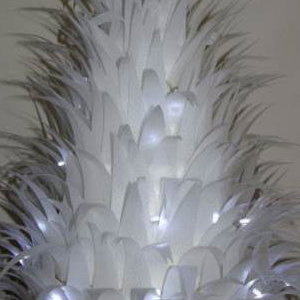 Feather Cakes