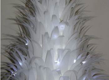 Feather Cakes