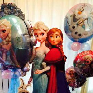 Frozen Accessories 