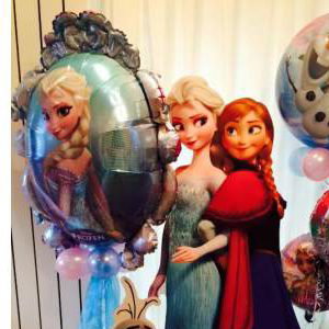 Frozen Accessories 