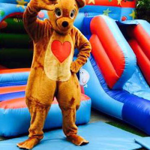 Pig Castle and Bear Mascot Costume