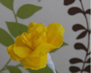 Handmade flower