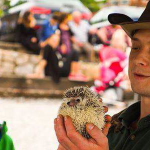 Justin and an African Hedgehog