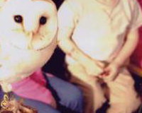 Jack and a Barn Owl at a Children;S Party