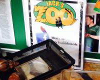 Some Our Reptiles at an Event