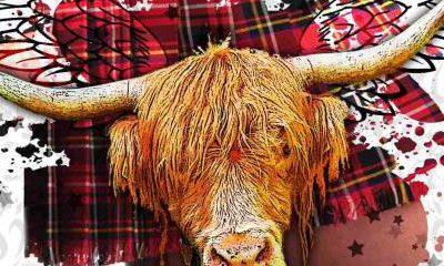 Ceilidh Minogue