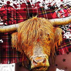 Ceilidh Minogue album