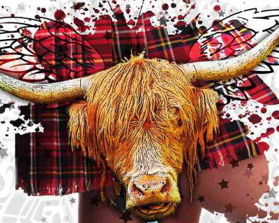 Ceilidh Minogue album