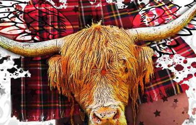 Ceilidh Minogue album
