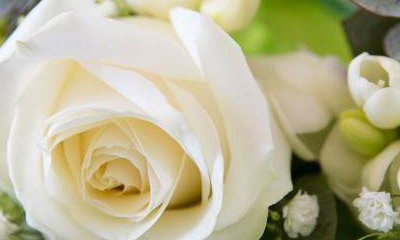 Arrangements Florist