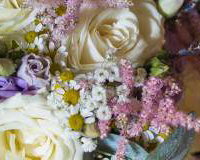 Vintage Meadow