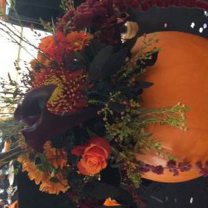 pumpkin display