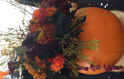 pumpkin display