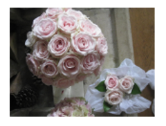The Gorgeous Flower Company logo