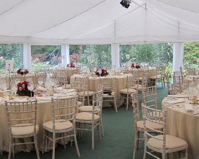 9m wide marquee