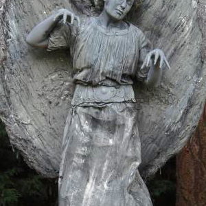 weeping angel
