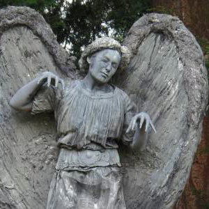 weeping angel