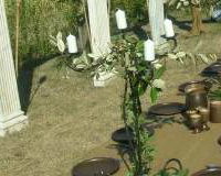 Ancient Greece themed party