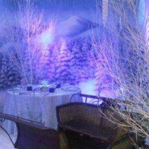 winter wonderland themed party