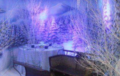 winter wonderland themed party