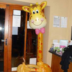 Giraffe in the Jungle