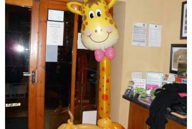 Giraffe in the Jungle