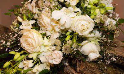 Melanie Searby Flower Design