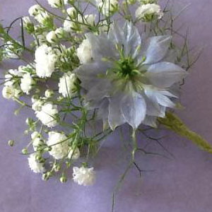 buttonhole
