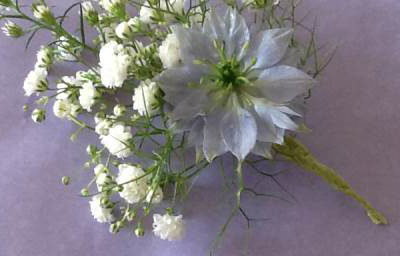 buttonhole