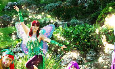 Felicity Fairy and Friends