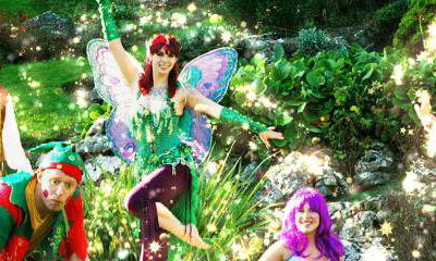 Felicity Fairy and Friends