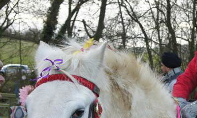 Halona Horses Ltd Pony Party