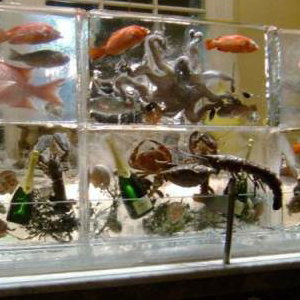 Seafood Display Ice Wall