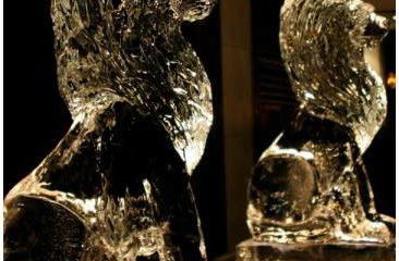 PSD Ice Art Ltd