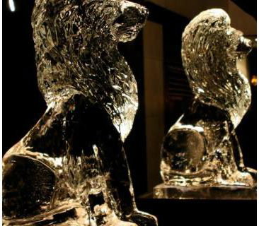 Lions to make a grand entrance